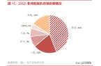 21年手机行业研究报告AG真人游戏平台2